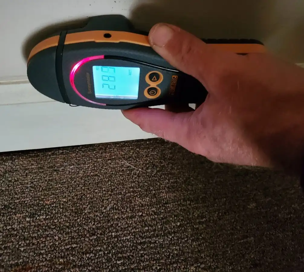 Moisture detection at baseboard during Burst Pipe Cleanup in Vienna